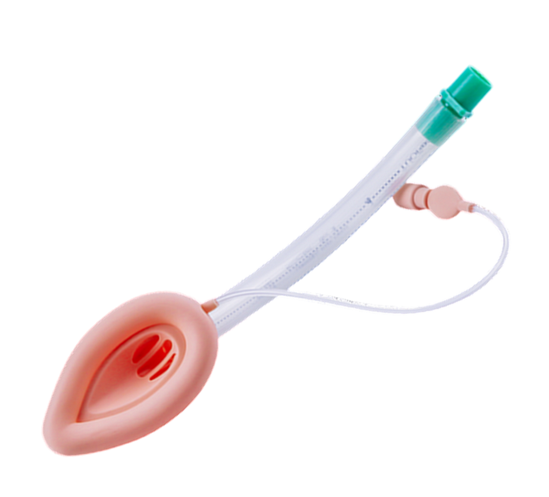 一次性醫(yī)用喉罩（普通型）